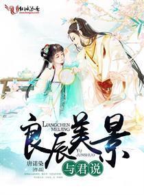 良辰美景顾锦朝小说,宫廷权谋与爱恨纠葛的华丽篇章